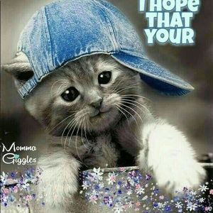 Meet your Posher, Liane